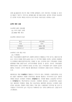 [국제경영]보텍의 바찌 해외진출 방안과 한국 의류산업-6