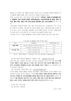 [국제경영]보텍의 바찌 해외진출 방안과 한국 의류산업-10