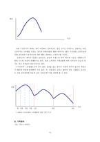 [마케팅비교분석] 선발제품과 후발제품 마케팅전략 - `비비안`과 `비너스`-13