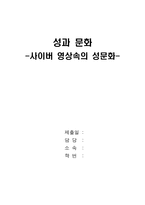 [성과문화] 사이버 영상속의 성문화-1