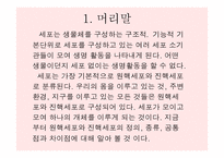 원핵세포와 진핵세포란 무엇인가-3