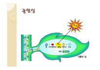 광합성 정의 - 장소, 영향을 미치는 조건, 호흡과 비교 -4