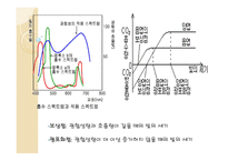 광합성 정의 - 장소, 영향을 미치는 조건, 호흡과 비교 -9