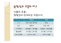 광합성 정의 - 장소, 영향을 미치는 조건, 호흡과 비교 -12