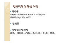 광합성 정의 - 장소, 영향을 미치는 조건, 호흡과 비교 -17