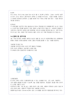 암웨이의 네트워크 마케팅(다단계 판매) 경영방식과 문제점 분석-4