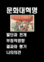 문화대혁명 정의와 발단배경,전개과정분석및 문화대혁명의 악영향분석과 문화대혁명 결과와 평가 및 나의의견정리 -1