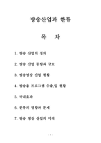 방송산업과 한류 -1