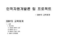 인적자원개발론 팀 프로젝트 - SONY의 교육체계 -1