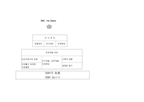 인적자원개발론 팀 프로젝트 - SONY의 교육체계 -7