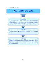 [소비자행동론] 라네즈 소비자 의사결정과정에 따른 전략-8