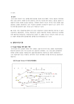 [조직 리더십] 칭기스칸 리더십 분석-12