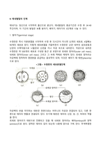 태내발달에 영향에 미치는 요인들에 대해 정리하고 자신의 의견을 기술하시오-4