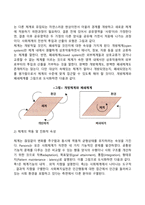 생태체계이론-6