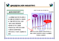 [벤처창업론] 실버산업 사업계획서-5