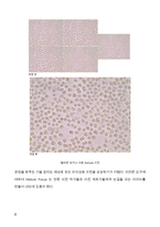 (A+) 디지털카메라의 시각의 확장(HDR, 파노라마 ? 이미지 스티칭, 포커스의 정복 ? 헬리콘 포커스),  사진에 미치는 영향 -9