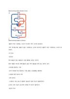 (사이버강의) 삶에 약이 되는 약 이야기 - 시험족보-16