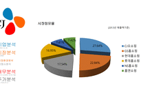 CJ오쇼핑 기업분석 CJ오쇼핑 경영전략사례 CJ오쇼핑 브랜드마케팅 CJ오쇼핑 서비스마케팅 글로벌경영 사례분석 swot stp 4p-16