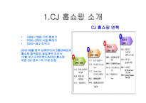 CJ 홈쇼핑 기업분석 CJ 홈쇼핑 마케팅 CJ 홈쇼핑 브랜드마케팅 서비스마케팅 글로벌경영 사례분석-2