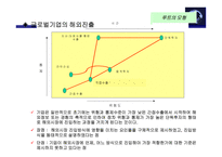 글로벌기업 해외진출 모형 해외시장 진입 방식 글로벌기업 해외진출 러그만의 단순 모형-8