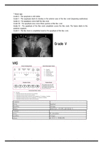 물리치료 SOAP NOTE scoliosis 측만증-5