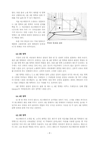 [공연예술의이해] <노틀담의 꼽추>에서의 공간-4