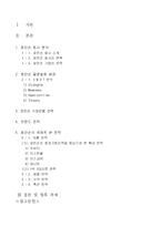 [국제마케팅] 로만손의 신제품개발 전략-1