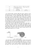 [논문]㈜한국스마트카드의 e비즈니스 모델 분석 및 산업현황 24p-4