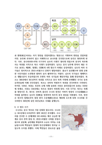 중국의 역사에 대해서-7