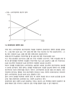 관세의 경제적 효과 및 최적관세-3