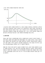 관세의 경제적 효과 및 최적관세-5