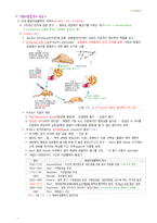 정리-미생물학-3