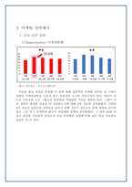 러쉬 마케팅 전략 파악 및 수립-12