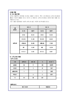 로만손 기업경영과 해외진출 전략분석-17