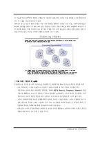 [전략정보론] 데이터마이닝-11