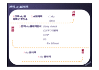 [마케팅,조직구조]펜택-sky텔레텍기업 조사분석-합병전후--2