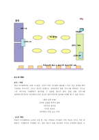 [인터넷온라인게임 마케팅] 아이템 판매사업(주) Itembay(아이템베이) 마케팅-17