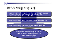 [경영전략] KT&G 사업다각화 전략-15