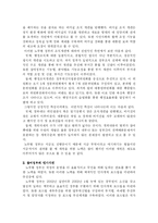 [관료제론]국민정부와 참여정부의 관료제적 비교-5