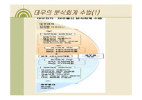 [수학과 현대사회] 대우의 분식회계-13