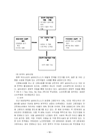 (사업계획서) 노인을 대상으로 한 노인 전문 포털 사이트-12