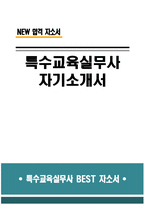 [특수교육실무사 자기소개서] 특수교육실무사 자소서 합격예문 특수교육실무사 지원동기 특수교육실무사 주요경력 및 직무수행계획 등 특수교육실무사 기타 자기소개-1