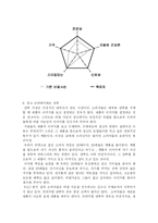 [광고조사] 비달사순의 소비자 인식 조사, 광고 컨셉 도출 및 방향제시-14