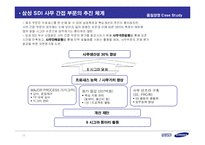 [품질경영] 삼성SDI성공사례 -식스시그마(6시그마)-17