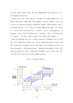 인터넷뱅킹 -신한, 우리은행을 중심으로 인터넷뱅킹 서비스-12