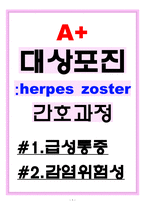 대상포진(herpes zoster) 간호과정 [A+]-1