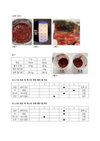 식품가공학 실습보고서5 딸기잼-4