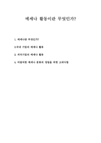 메세나 활동이란 무엇인가?-1