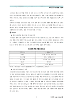 [국제경영] 로만손 해외진출 성공사례 -중동지역 중심으로-13