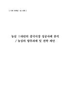 농심 신라면의 중국시장 성공사례 분석, 농심의 향후과제 및 전략제안-1